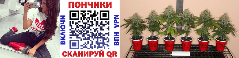 Купить наркотики сайты Инсар COCAIN  Мефедрон  СОЛЬ  Бошки Шишки 
