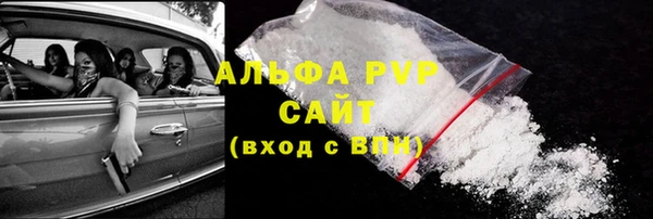 СК Бронницы