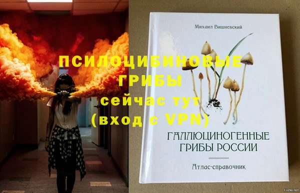 хмурый Бородино