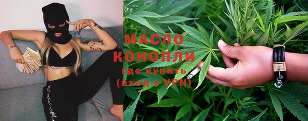 хмурый Бородино