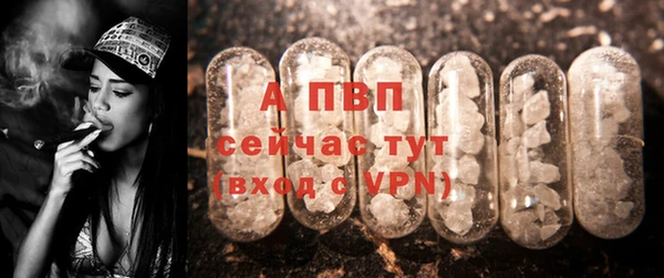 СК Бронницы