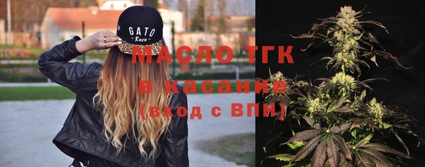 хмурый Бородино